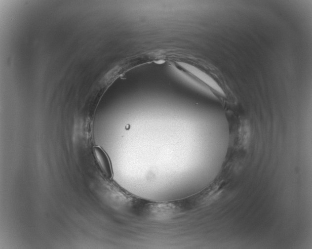 X0000081390525200701182235