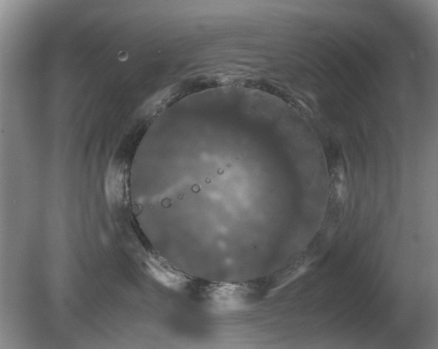 X0000081390527200701182235