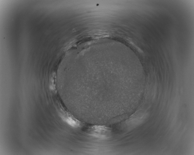 X0000081390528200701182235