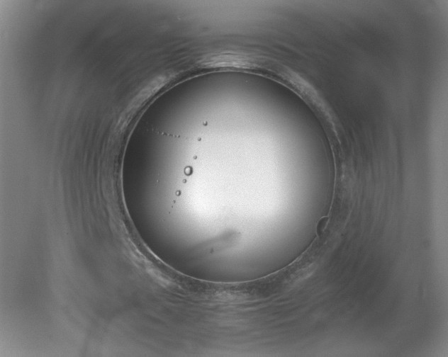 X0000081390529200701182234