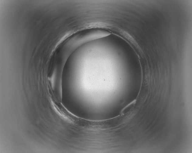 X0000081390530200701182234