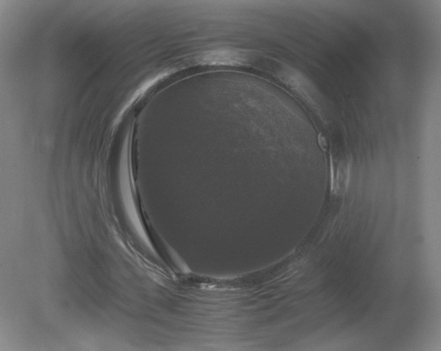 X0000081390531200701182234