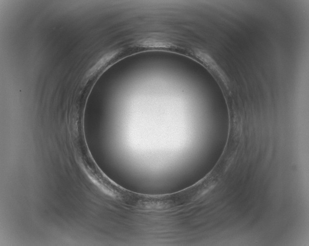 X0000081390533200701182234