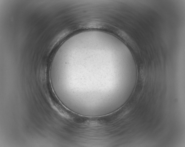 X0000081390534200701182234