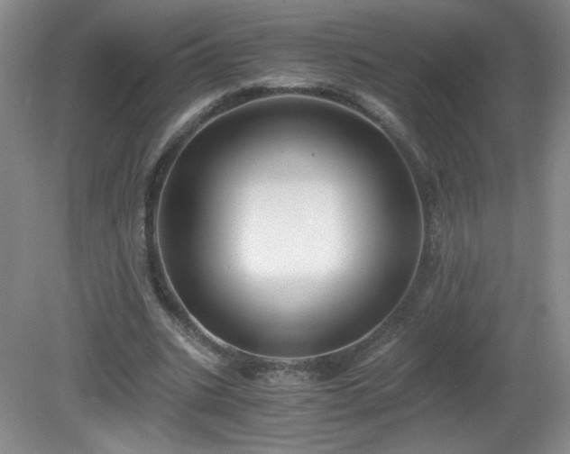 X0000081390535200701182234