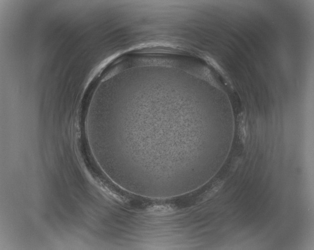 X0000081390536200701182234