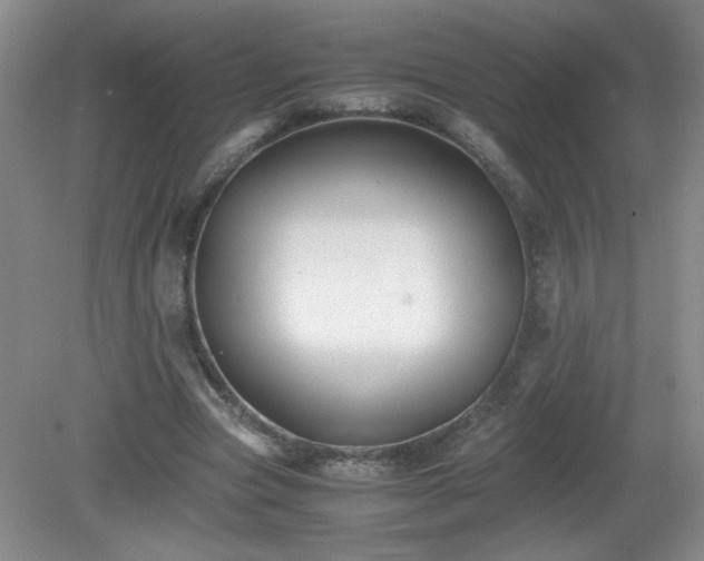 X0000081390537200701182234