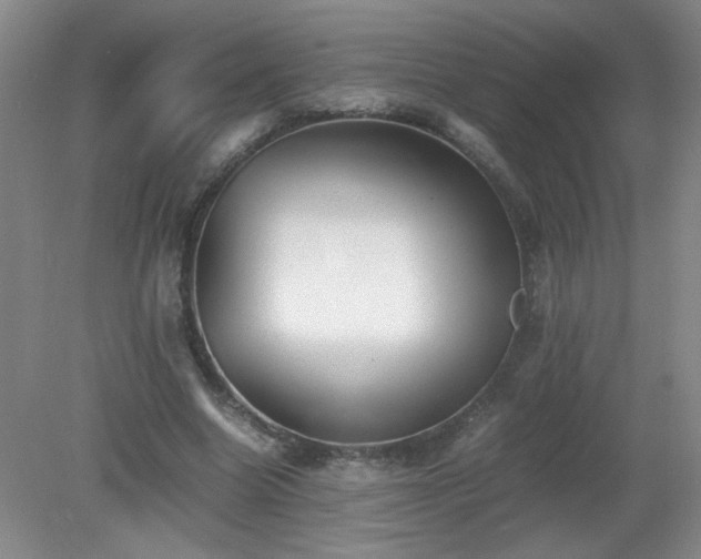 X0000081390538200701182235