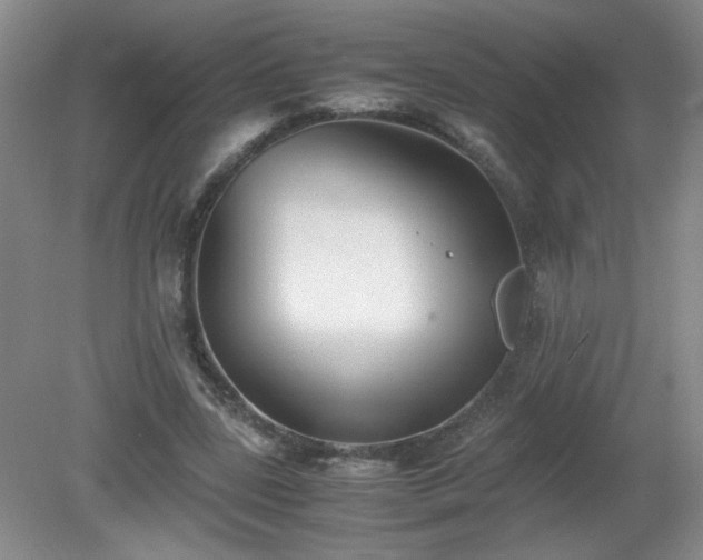 X0000081390539200701182235