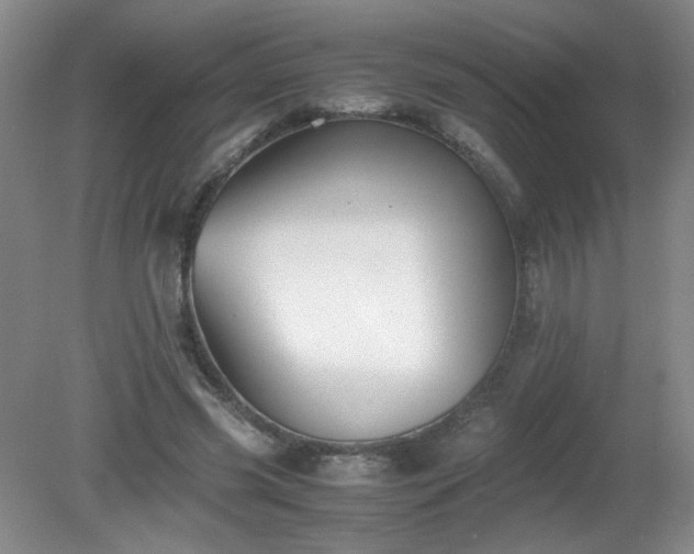 X0000081390541200701182235