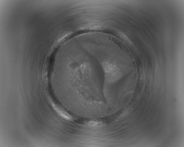 X0000081390542200701182235