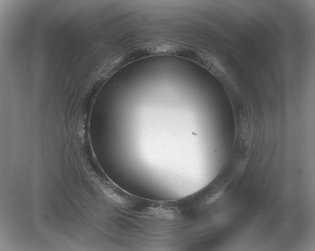 X0000081390545200701182235