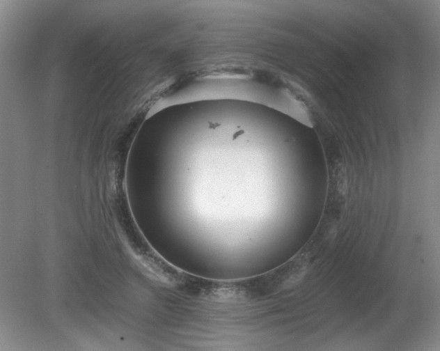 X0000081390546200701182235