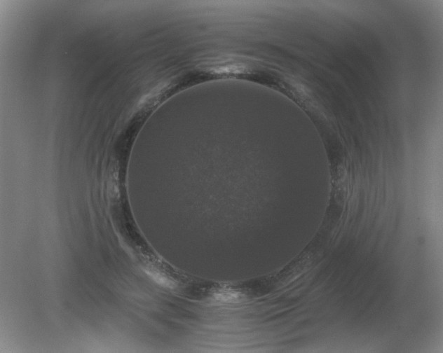 X0000081390547200701182235