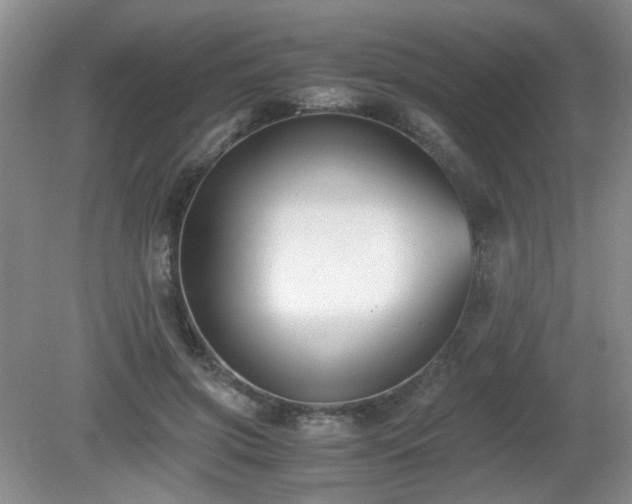 X0000081390549200701182235