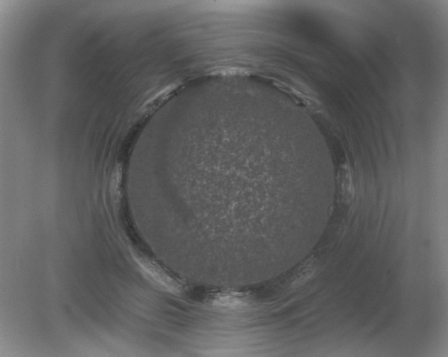 X0000081390550200701182235