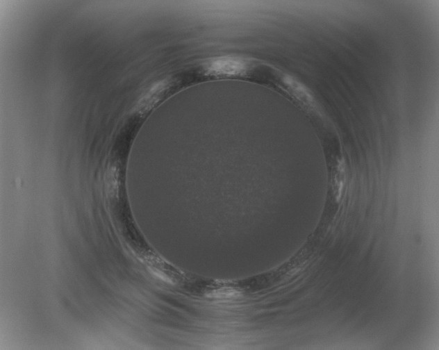 X0000081390551200701182235