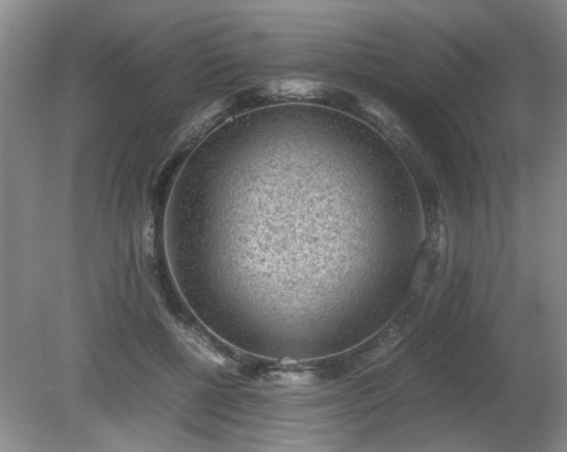 X0000081390552200701182235