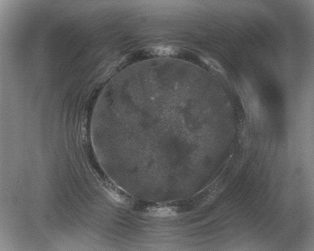 X0000081390553200701182235