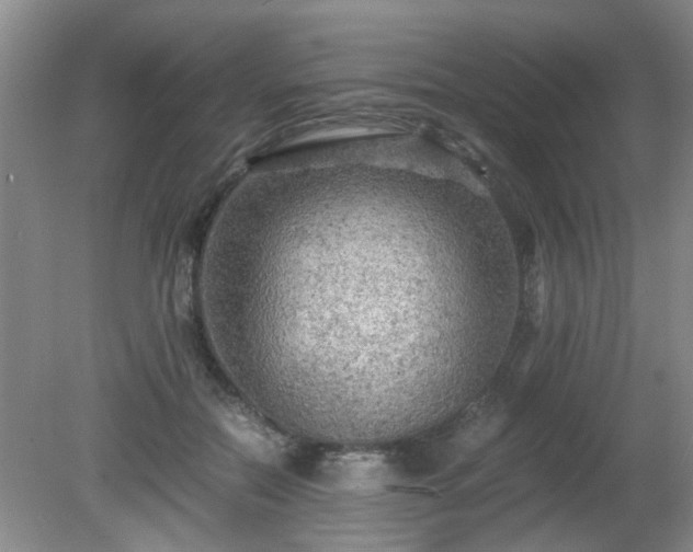 X0000081390554200701182235