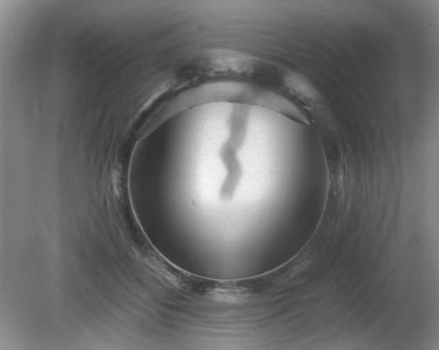 X0000081390556200701182235