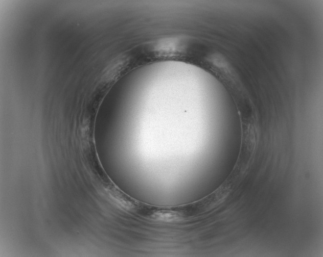 X0000081390557200701182235