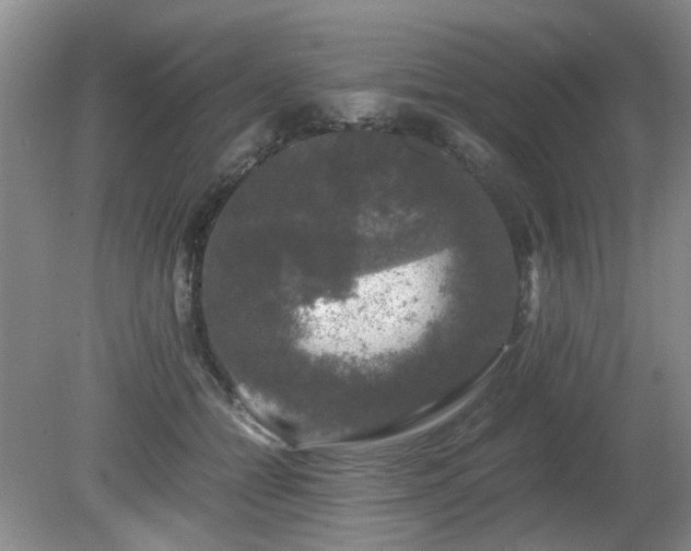 X0000081390558200701182235