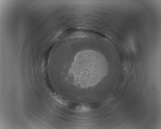 X0000081390559200701182235