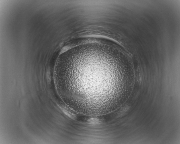 X0000081390562200701182235