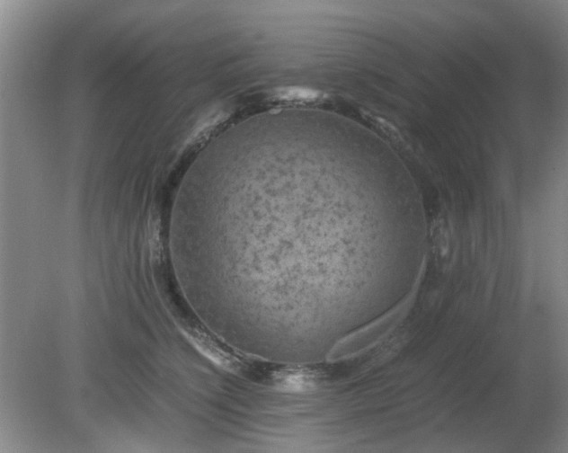 X0000081390564200701182235