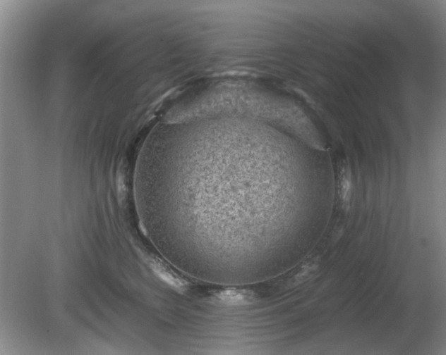 X0000081390566200701182235