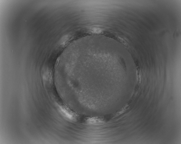 X0000081390568200701182235