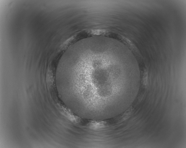 X0000081390569200701182235