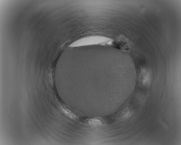 X0000081390572200701182235