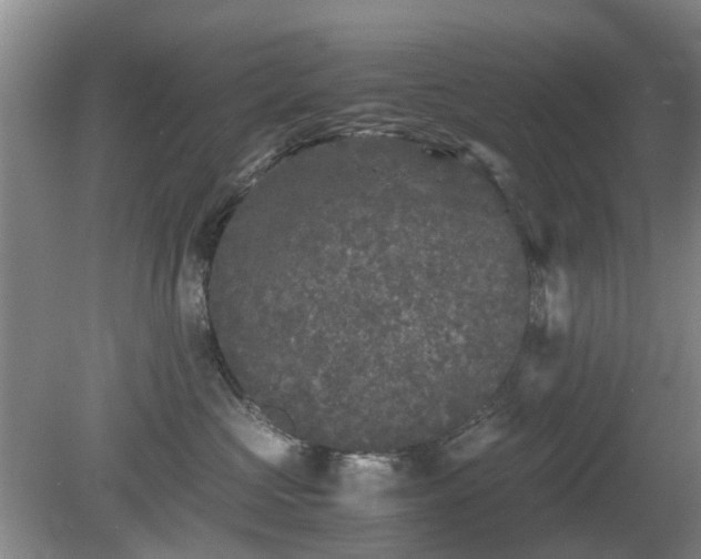 X0000081390573200701182235