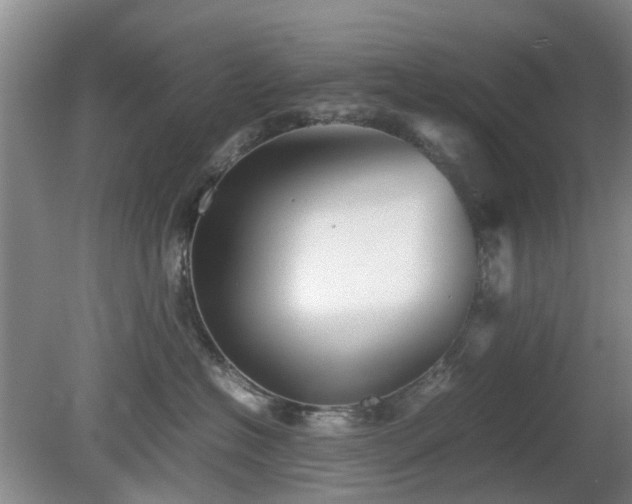 X0000081390574200701182235