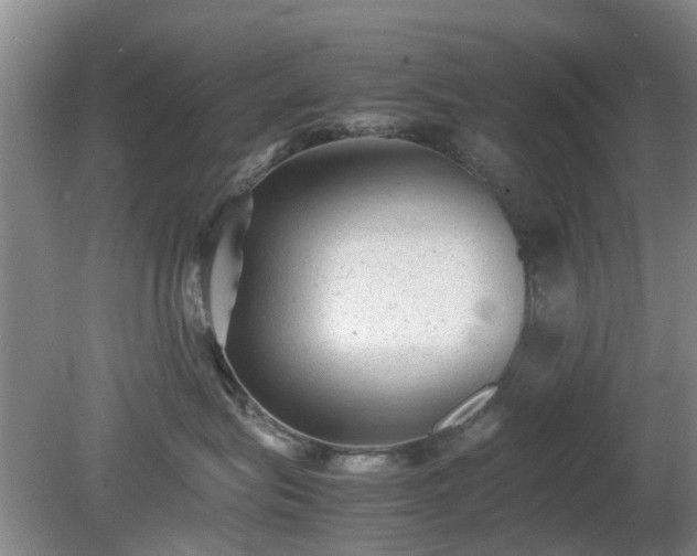 X0000081390575200701182235