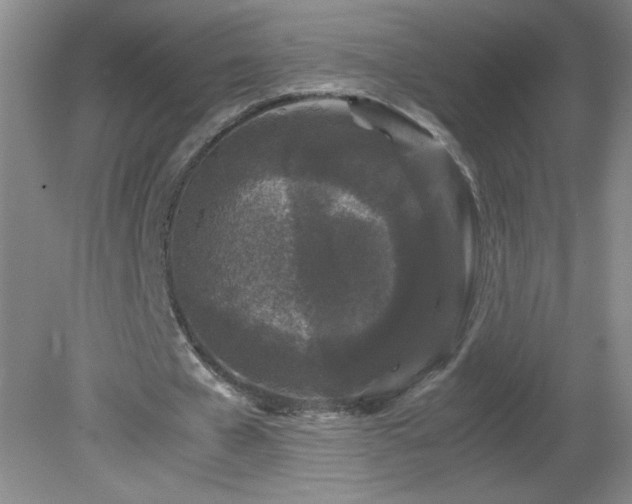 X0000081390577200701182234