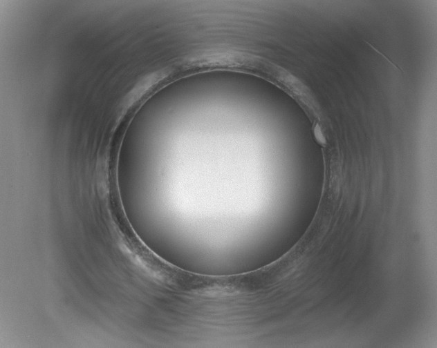 X0000081390578200701182234