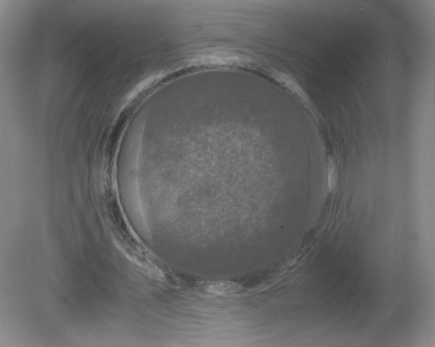 X0000081390579200701182234