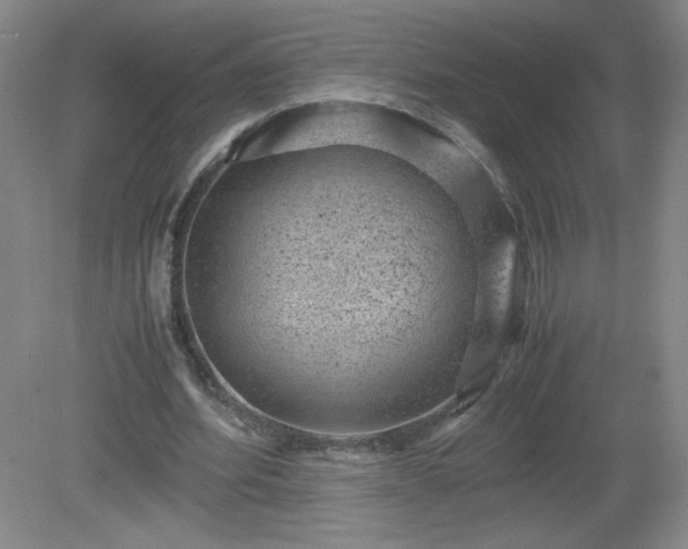 X0000081390580200701182234