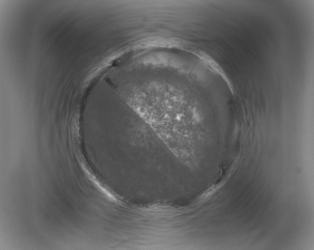 X0000081390581200701182234