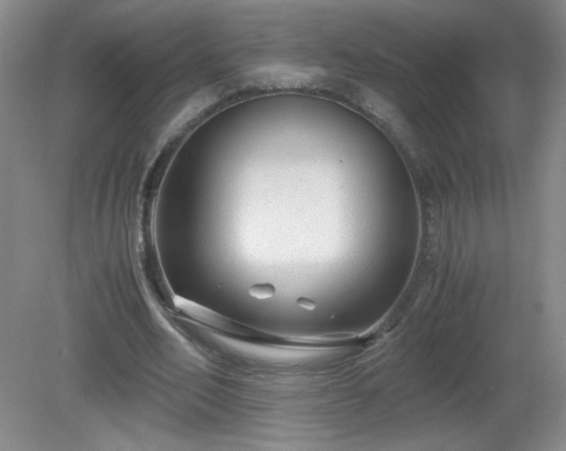 X0000081390582200701182234