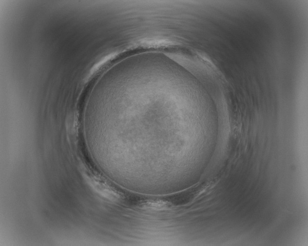 X0000081390583200701182234