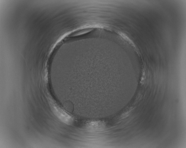 X0000081390584200701182234