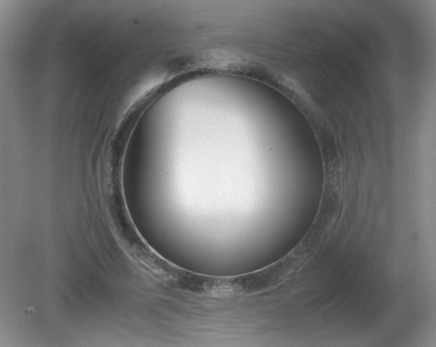 X0000081390587200701182234