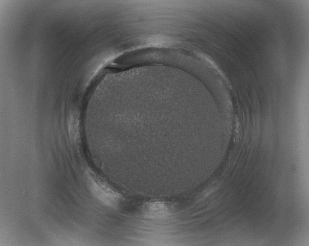 X0000081390588200701182234