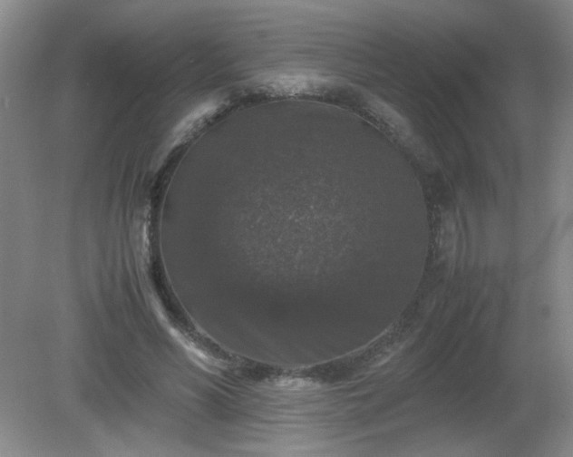 X0000081390590200701182234