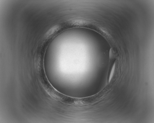 X0000081390591200701182234