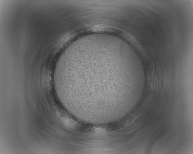 X0000081390592200701182234